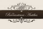 Logo Brocante old • © Vide Grenier Antibes